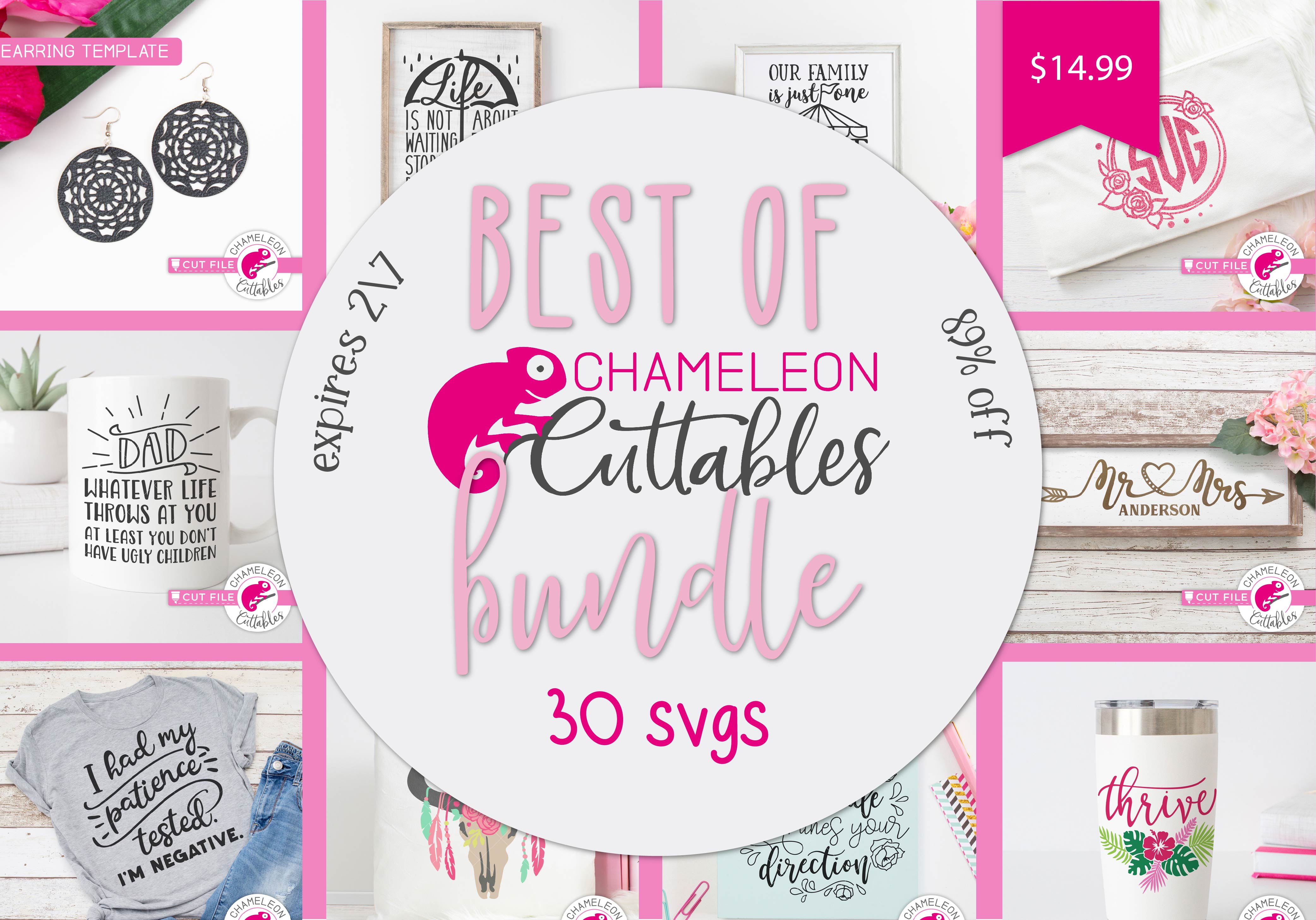 So Fontsy Best of Chameleon Cuttables Bundle