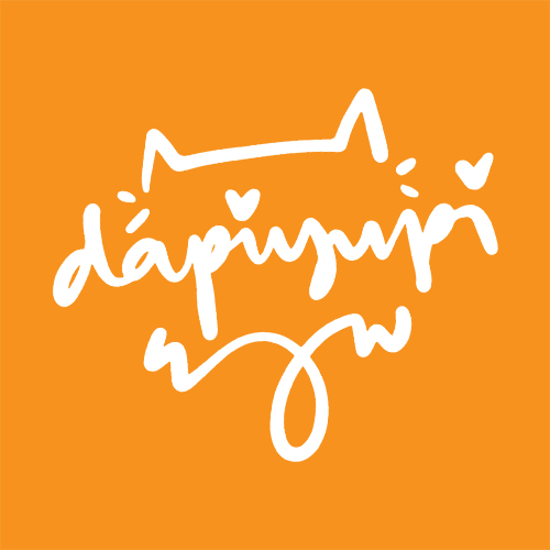 dapiyupi store